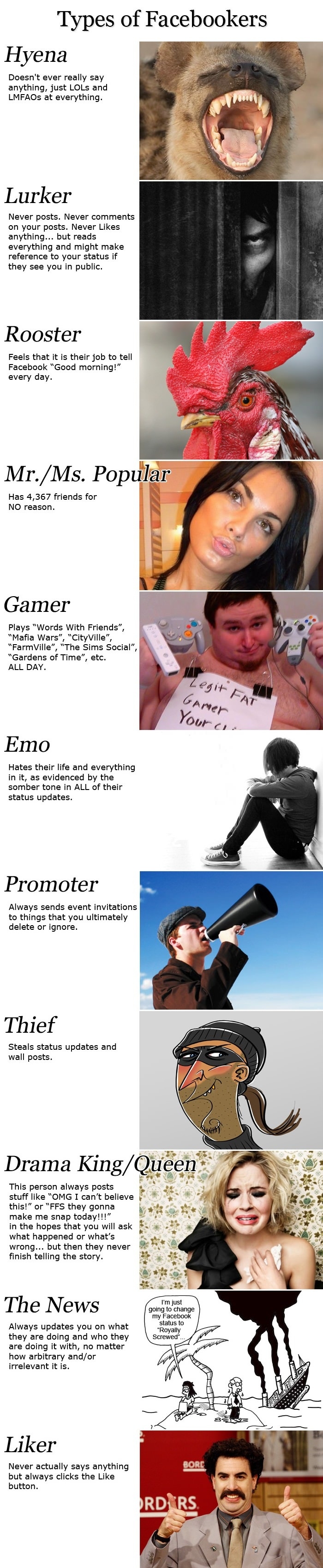 Type of Facebookers