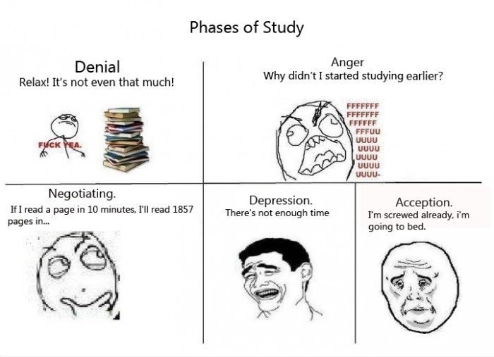 Phases of Studying