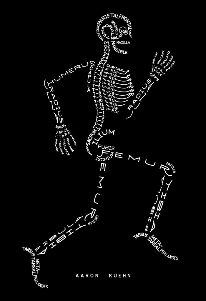 Anatomy Bones