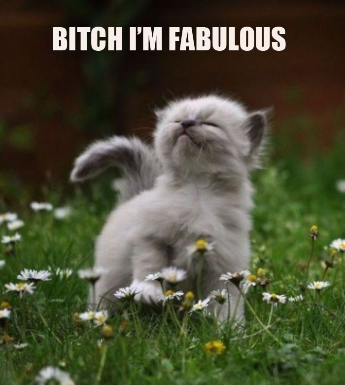B*tch, I'm fabulous!