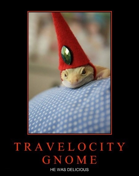 Gervaise, the Lizard Wizard