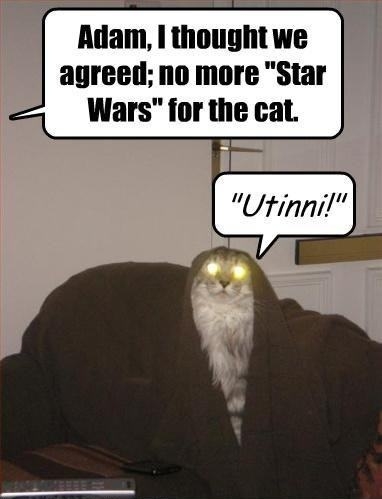 May the laser dot be with you