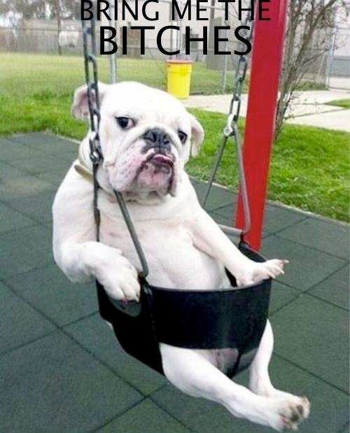 Bring me the b*tches!