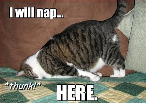 Coming home from school