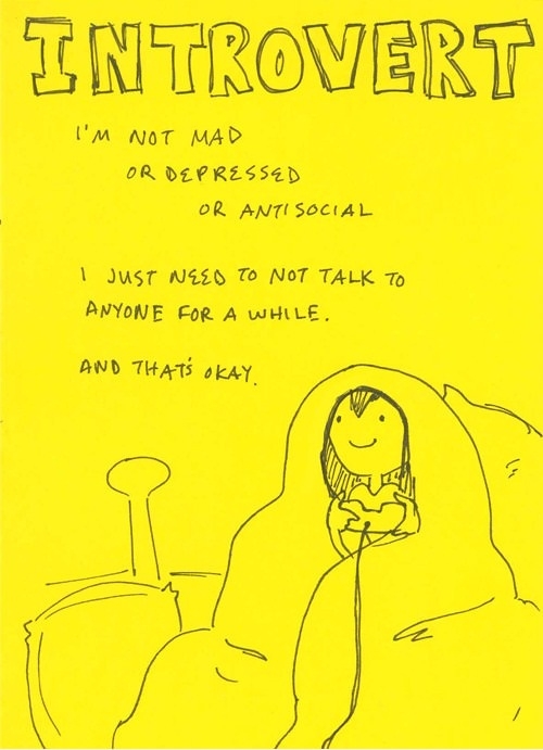 Introvert like a boss