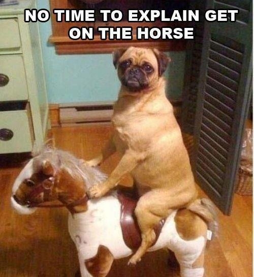 Just get on the damn horse!