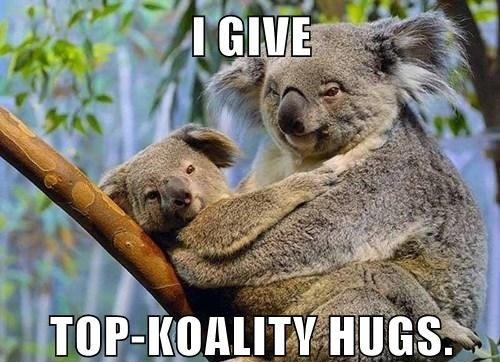 Right Koala