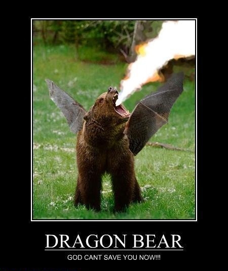 Come at me bro!