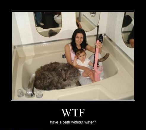 WTF is going on here?!