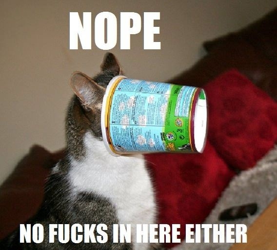 Not a single f**k to give!