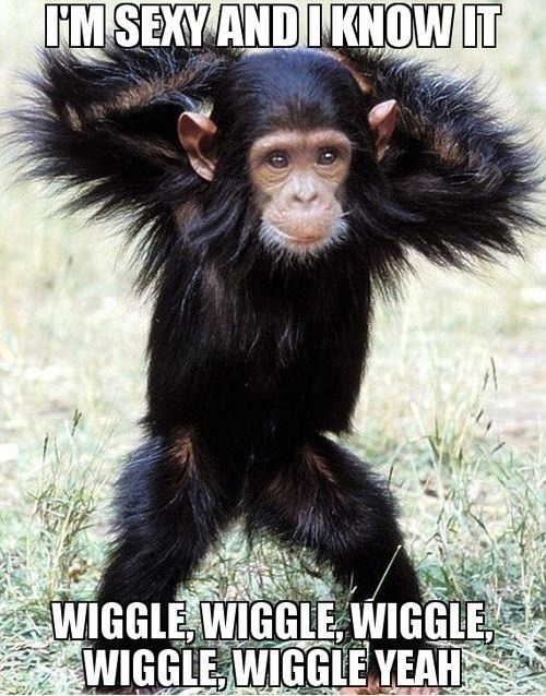 Wiggle wiggle wiggle