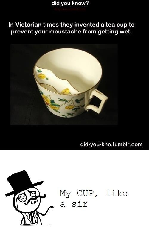 Cup like a sir