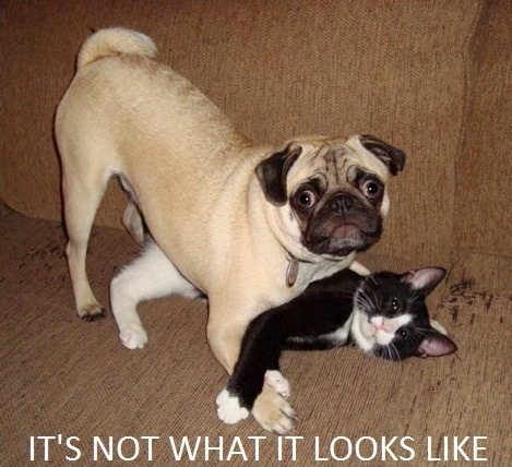 It's not what it looks like!