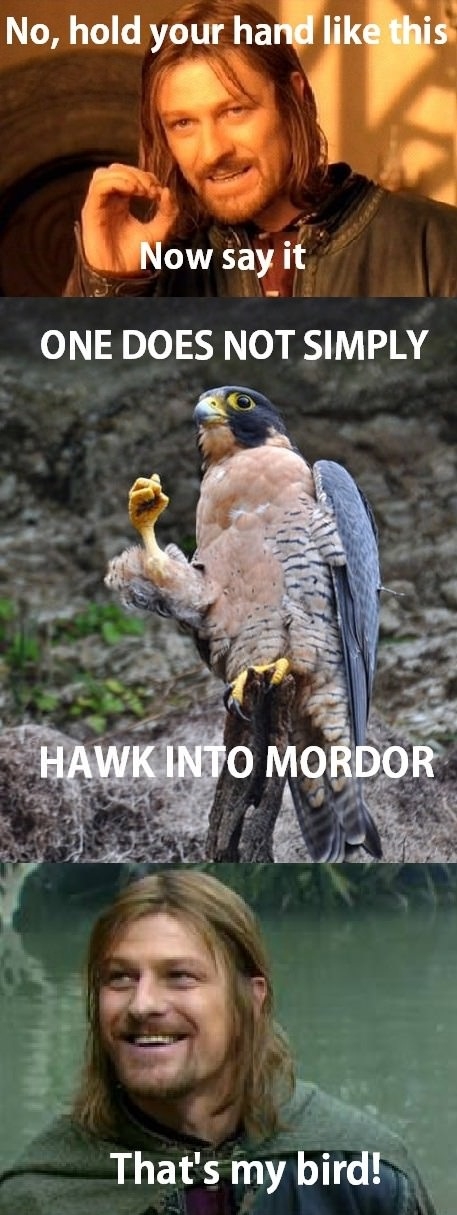 Boromir's pet bird