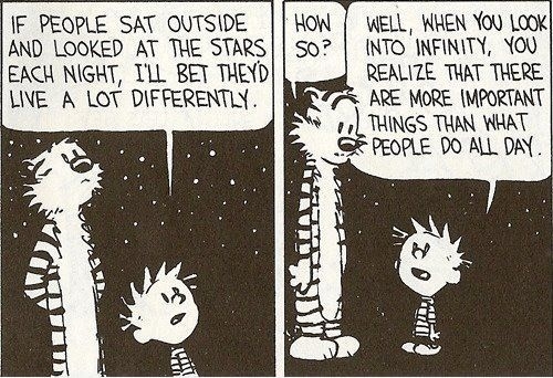 Calvin & Hobbes are the best!