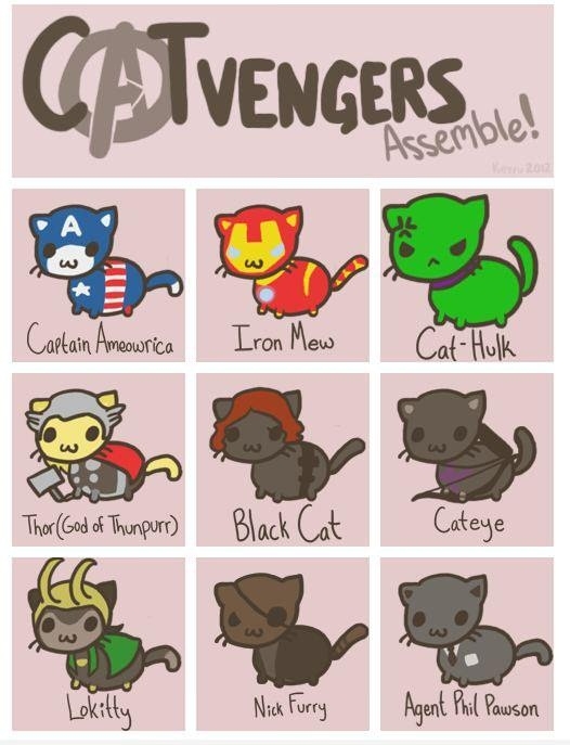 CATvengers Assemble!