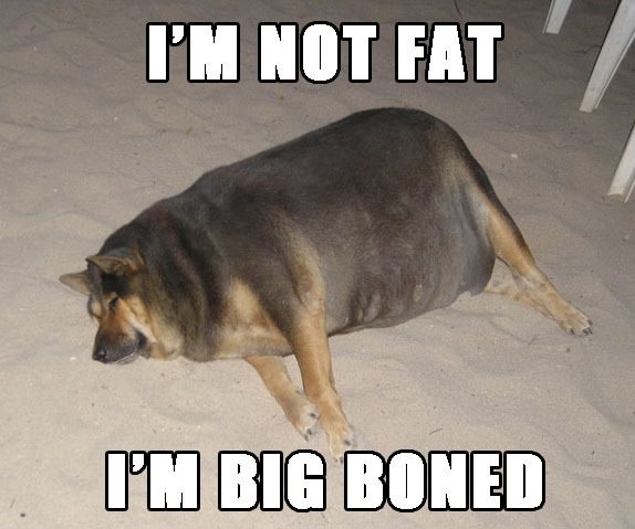 I'm not fat