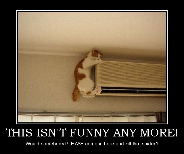 This isn't funny!