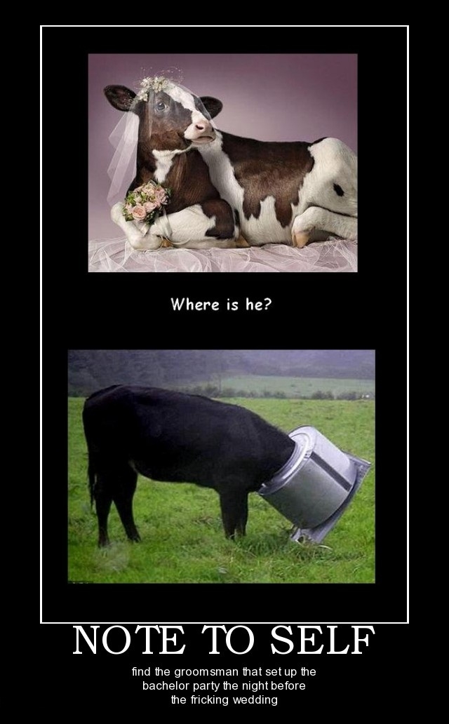 Where is he?!