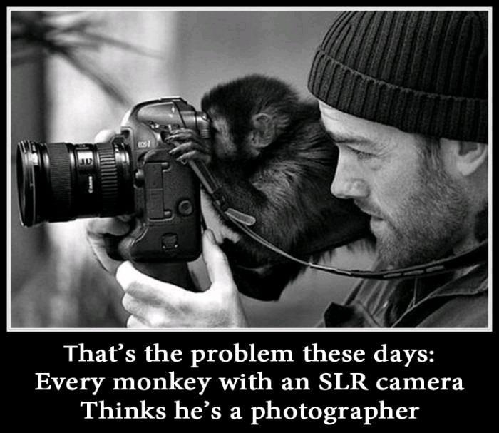 You're not a photographer!
