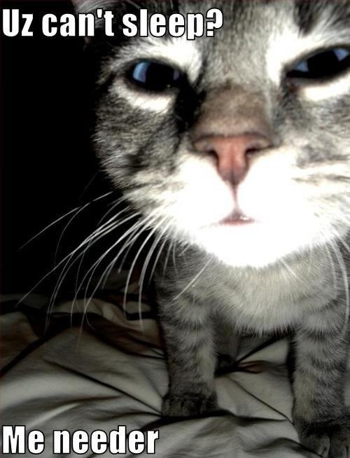 Uz can't sleep?