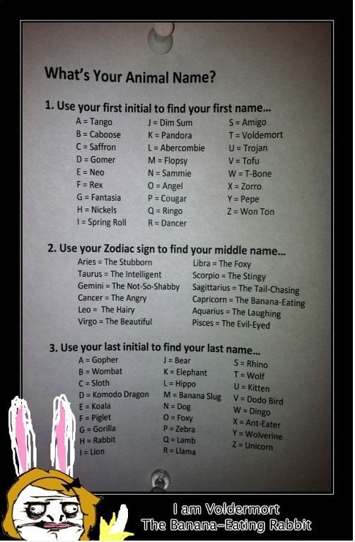 What's your animal name?