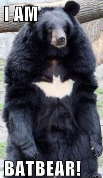 The dark knight rises