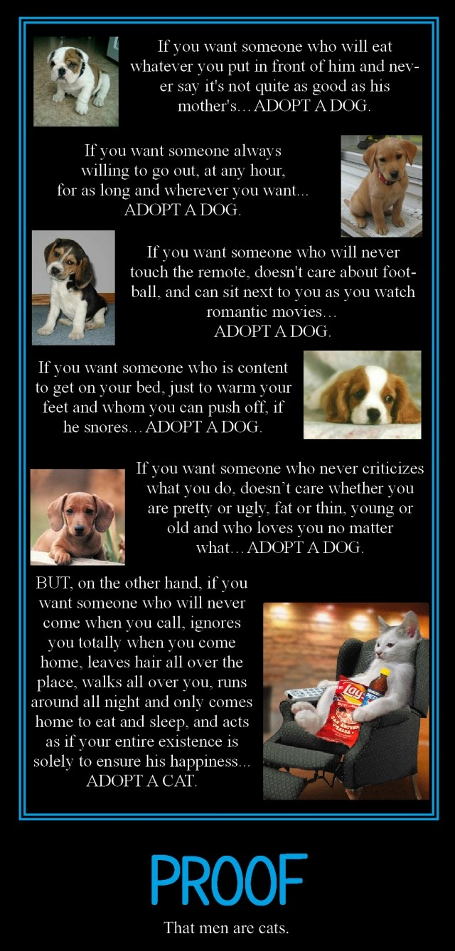Cats & Dogs