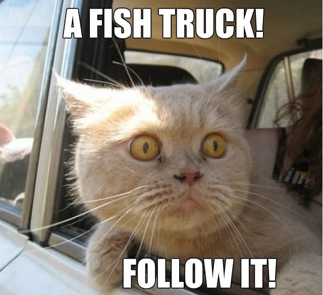 A fish truck!