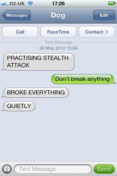 My favourite text from dog