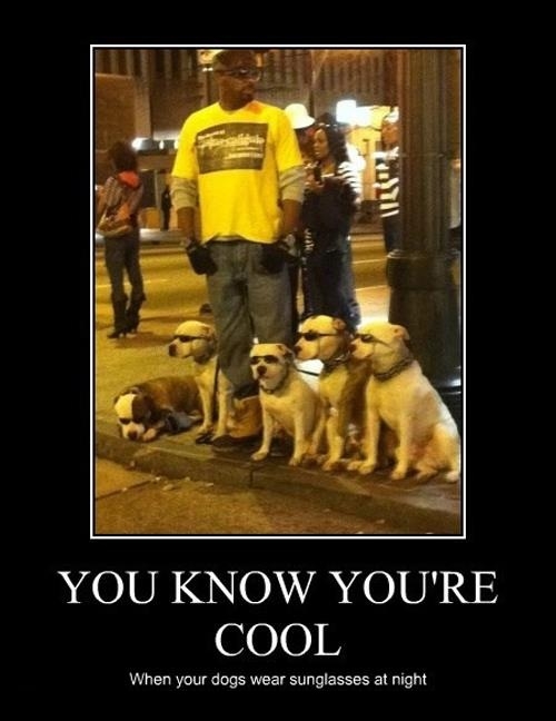 Yo dawg