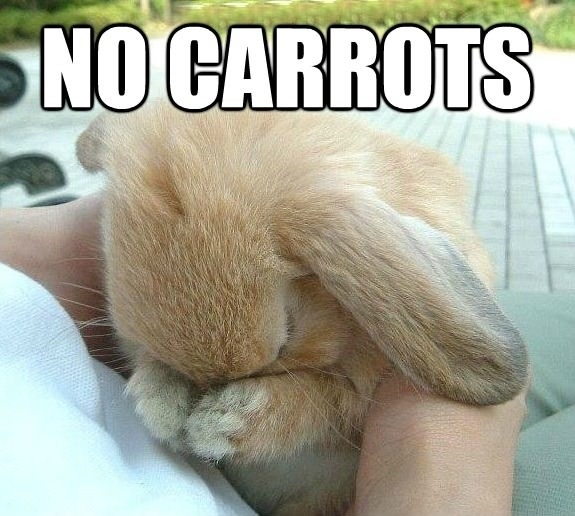 No carrots?