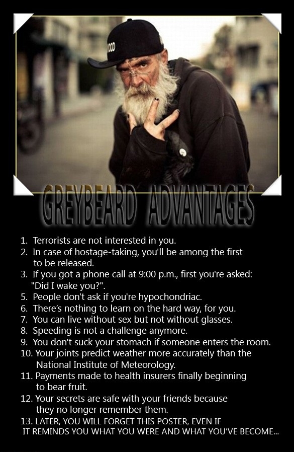 Greybeard Advantages