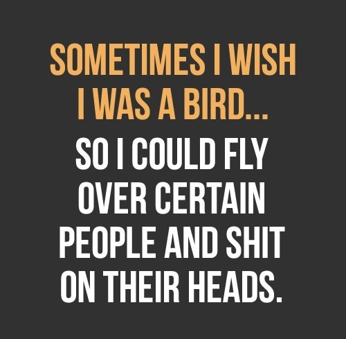 Sometimes I wish