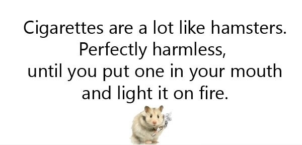 Cigarettes are like hamsters
