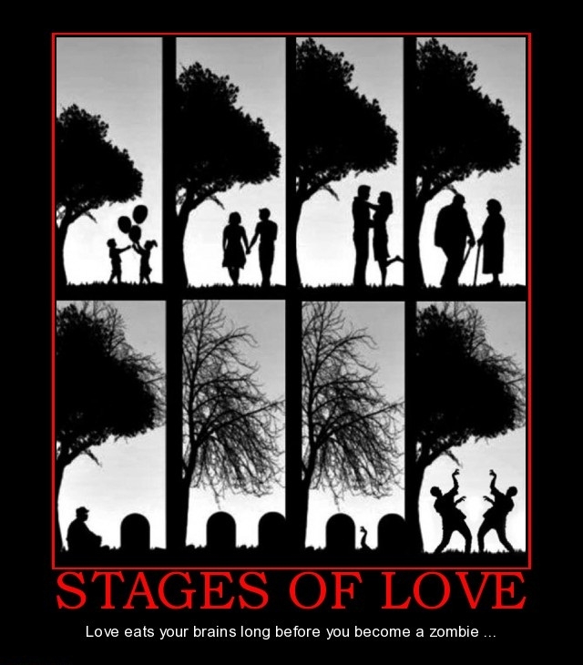 Stages of Love