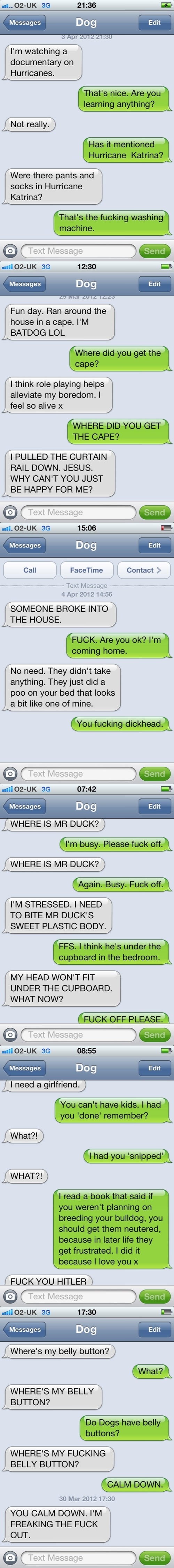 Texts from Dog