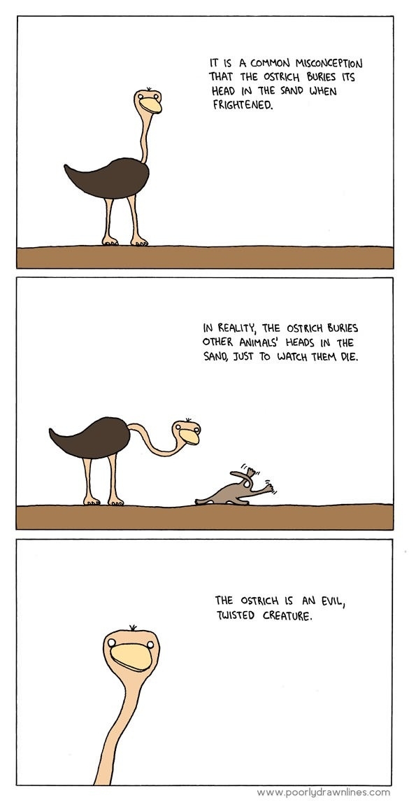 Evil ostriches