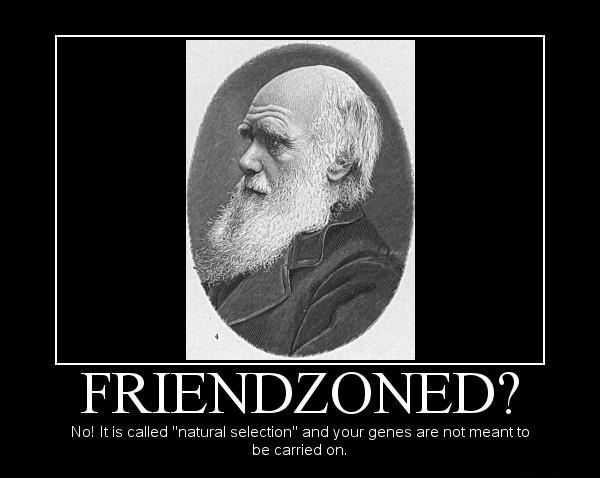 Friendzone explained