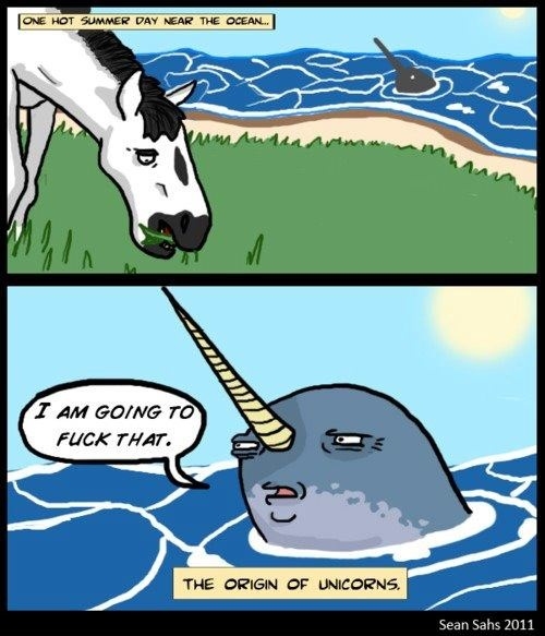 How unicorns were made