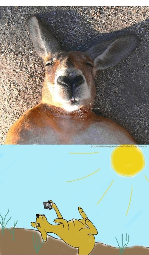 Meanwhile in Australia