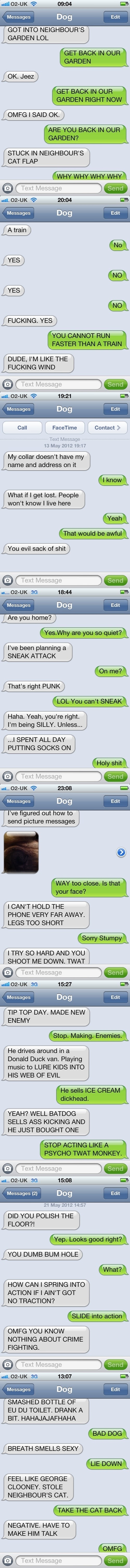 New texts from dog!