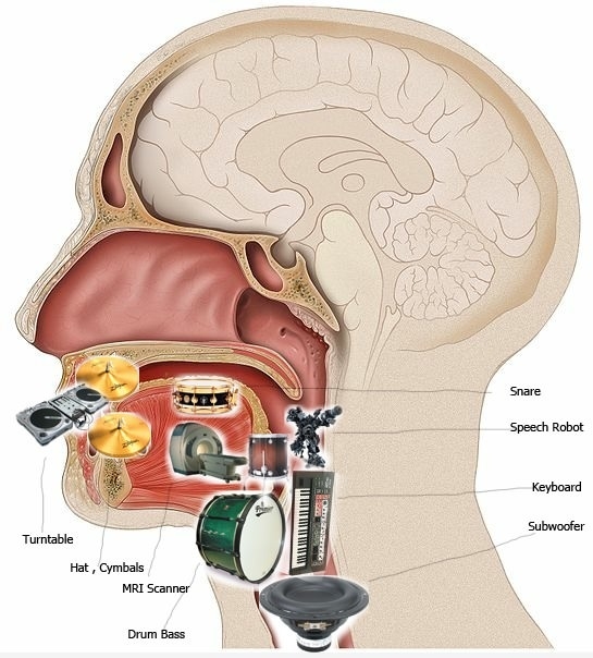 Mouth anatomy of beatboxer