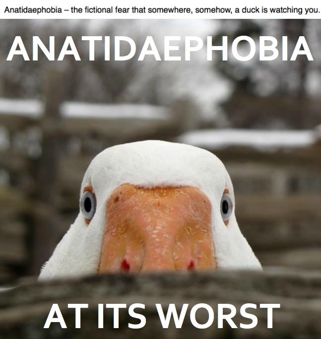 You can run but not hide!