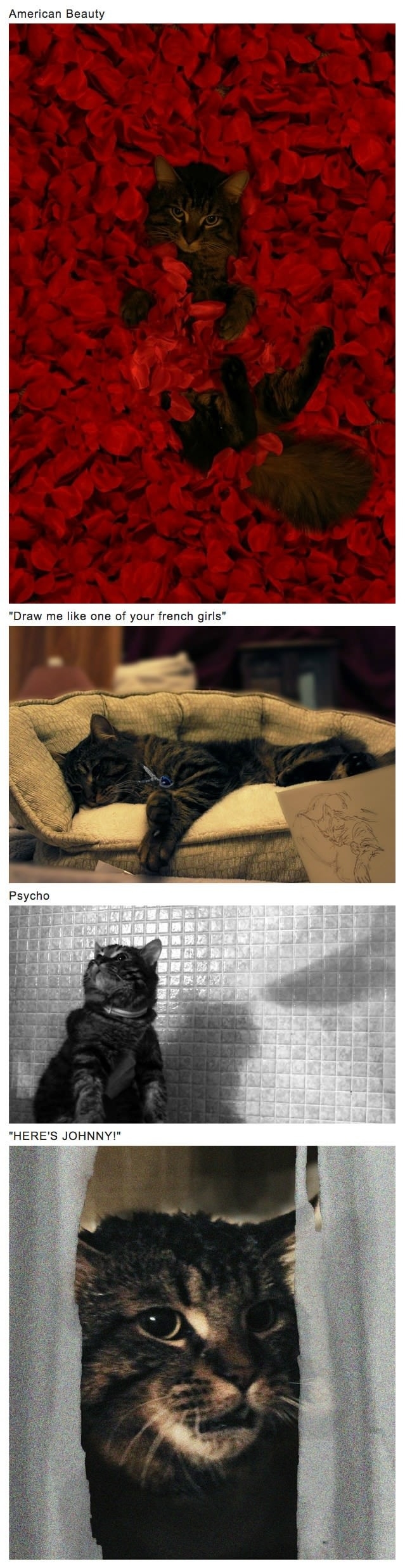 Film Scenes: Kitty Edition