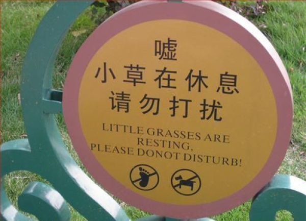 Little Grasses Are Resting