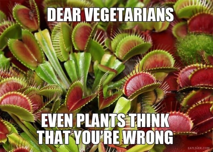 Dear vegetarians