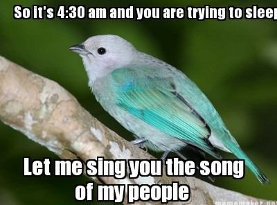 Ever freaking morning!