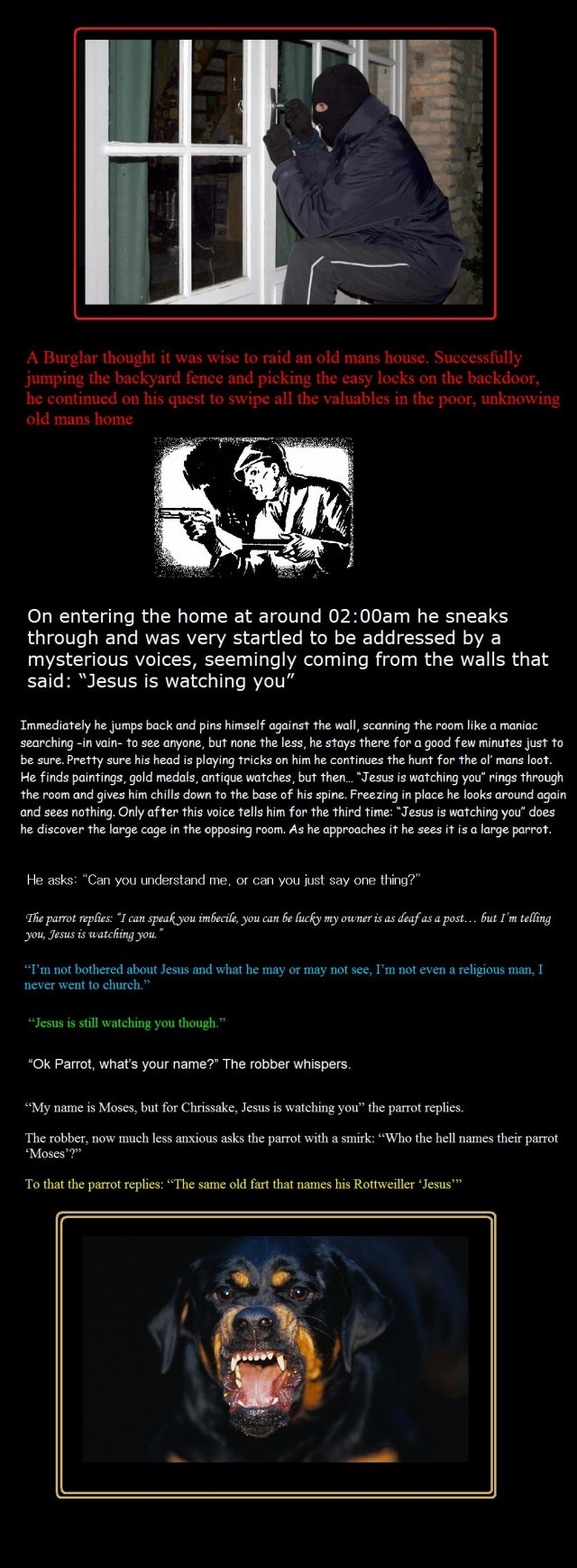 Burglars