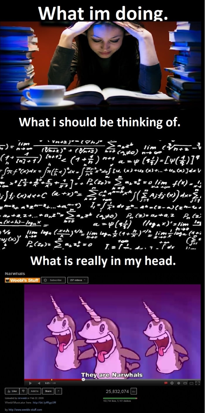 What I'm really thinking